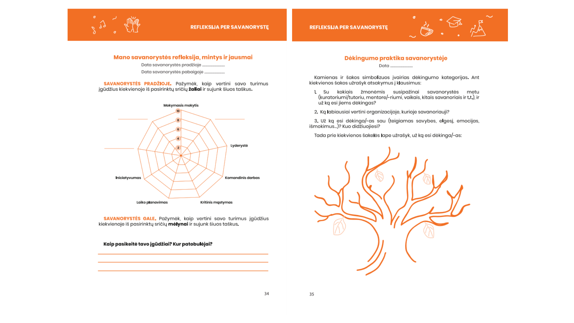 Savanorystės dienoraštis